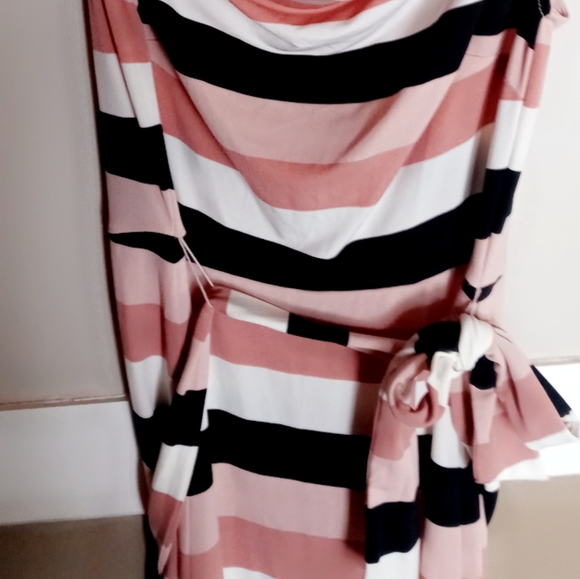 Ann Taylor Loft Pink Black Striped Dress - Picture 2 of 3